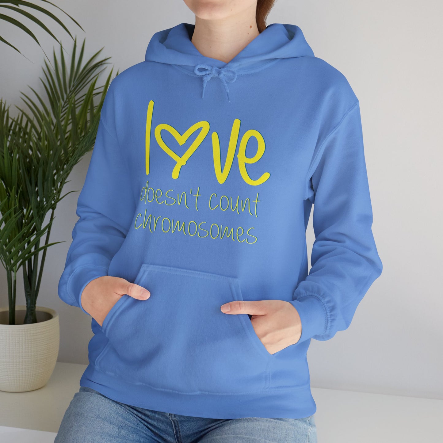 Love doesn't count chromosomes Unisex Heavy Blend™ Hooded Sweatshirt