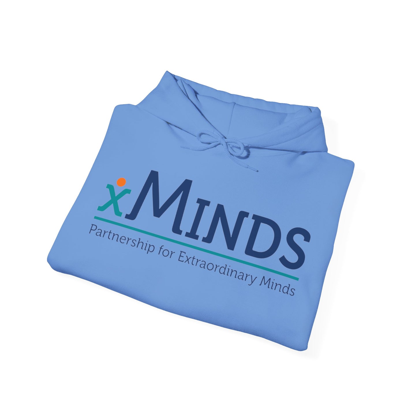 Xminds 2 Unisex Heavy Blend™ Hooded Sweatshirt