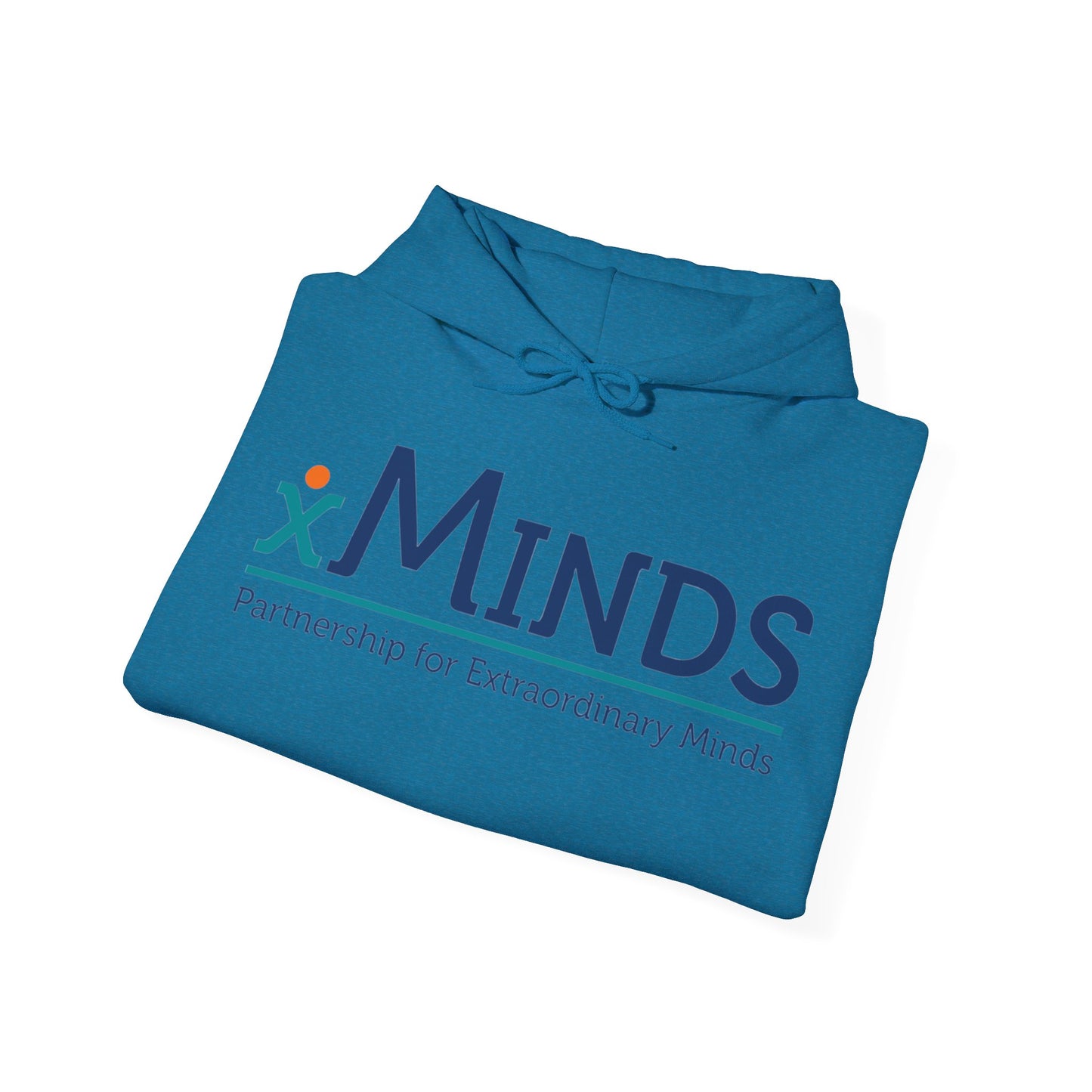 Xminds 2 Unisex Heavy Blend™ Hooded Sweatshirt